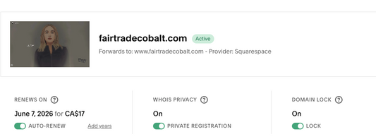 LiLTay release for sale -- fairtradecobalt.com -- domain -- fair trade names are all gone and are very rare