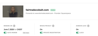 LiLTay release for sale -- fairtradecobalt.com -- domain -- fair trade names are all gone and are very rare