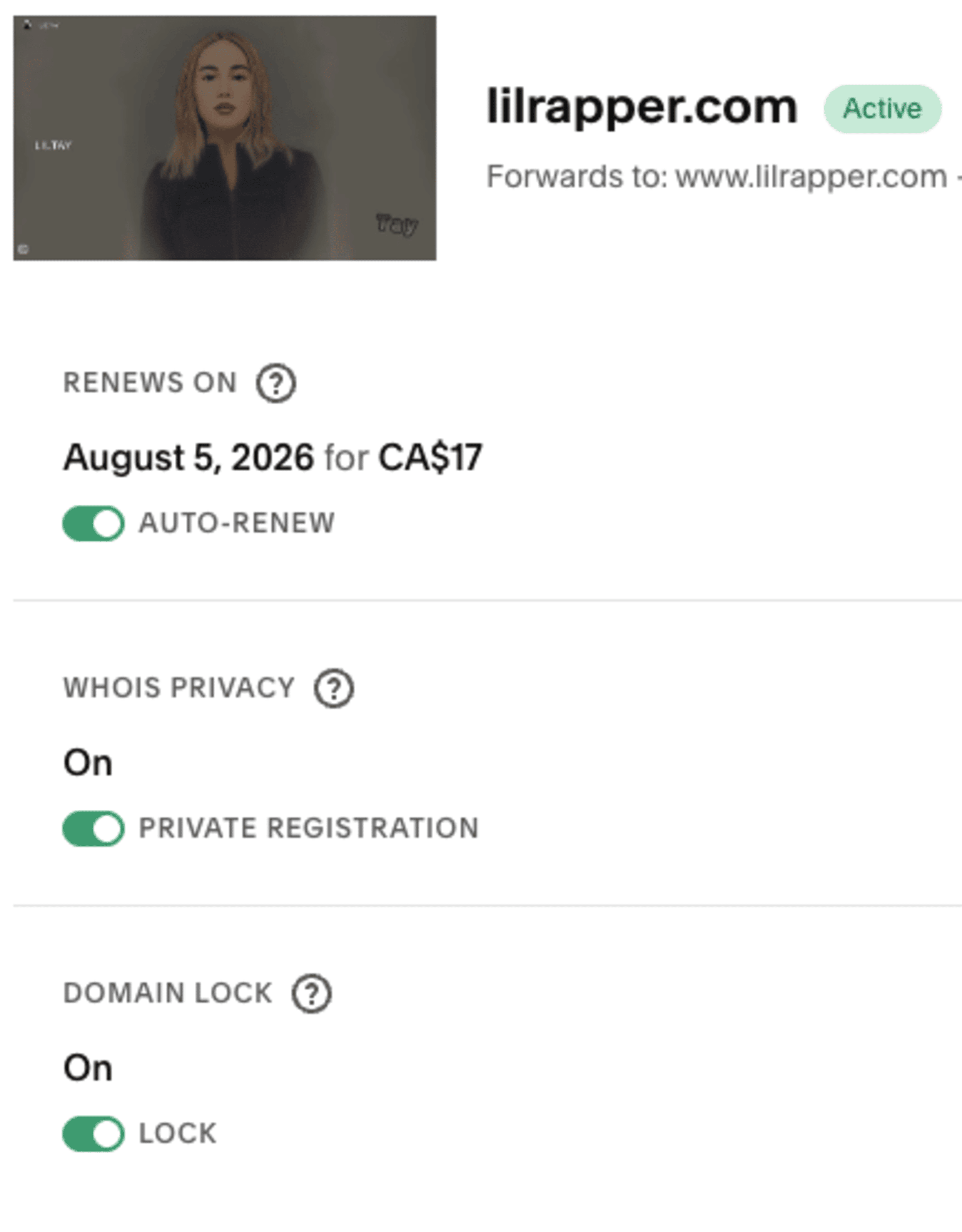 lilrapper.com  domain website digital sale